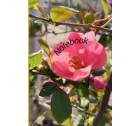 Notebook: Listen to your heart! Write its story!