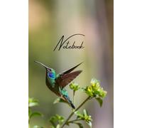 Notebook - Quaderno a righe 6 × 9": Taccuino da 120 pagine ispirato al colibrì - perfetto per appunti, journaling e idee creative