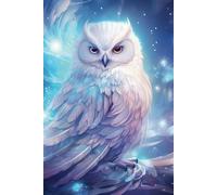 Notebook - Winter Night Owl - 6"x9" 200 Lined Pages: Perfect for all of your school, work, home or hobby needs.