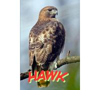 Notebook With Animals: HAWK.: A Cute and Fun Animal-Themed Notebook for Kids, Students and Animal Lovers
