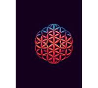 Notebook with Mandala Cover - 320 Lined Pages | Perfect for Journaling, School & Office: Elegant A4 Lined Notebook with White Paper - Ideal for Notes, Planning, and Creative Writing