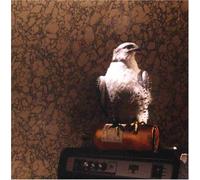 Notes for the Conversation