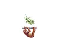Notes: Monkey: A lined notebook inspired by nature