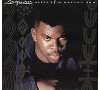 Notes of a Native Son