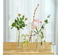Nother - Set di 5 vasi per fiori, vaso in vetro con supporto in metallo, per provette idroponiche, vasi per piante con cerniera, colore: oro