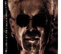 Nothing But a Burning Light by Bruce Cockburn