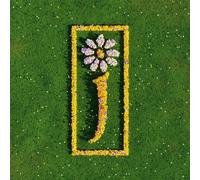 8872962 Audio Cd James - Nothing But Love. The Definitive Best Of