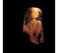 Audio Cd Alice In Chains - Nothing Safe - The Best Of The Box