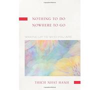 Nothing to Do, Nowhere to Go: Waking Up to Who You Are: Reflections on the Teachings of ZEN Master Lin Chi