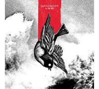 Nothington In the End (Vinyl LP) 12" Album