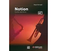 Notion + media online - Beppe Bornaghi - Guida operativa