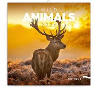 NOTIQUE Calendario da parete 2026 Animali selvaggi, calendario mensile in brochure, design estetico 30 x 30 cm (aperto 30x60)