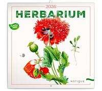 NOTIQUE Calendario da parete 2026 Herbarium, senza plastica, con calendario mensile, calendario opuscolo, calendario profumato, 30 x 30 cm (30 x 60 cm)