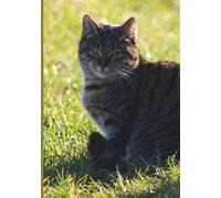 Notizbuch Tigerkatze Samtpfoten auf der Wiese: Das optimale Geschenk für Katzenfreunde; Als Tagebuch, Notizbuch oder für deine Ideen! 150 Seiten für deine Gedanken!