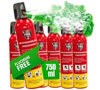 notlok Safety Work - 6x Mini Estintore Casa 750g con Schiuma Senza Fluoro Sicura sulla Pelle | A, F, E fino a 1000V | Estintori per Casa Vacanze, Estintore Auto, Barca e Appartamento | Ideale per B&b