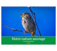 Notre nature sauvage, les passereaux d'Europe (Calendrier mural 2026 DIN A2 vertical), CALVENDO calendrier mensuel: A la découverte des habitants de nos campagnes.