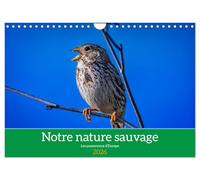 Notre nature sauvage, les passereaux d'Europe (Calendrier mural 2026 DIN A4 vertical), CALVENDO calendrier mensuel: A la découverte des habitants de nos campagnes.