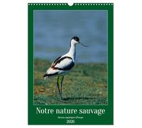 Notre nature sauvage, oiseaux aquatiques d'Europe (Calendrier mural 2026 DIN A3 horizontal), CALVENDO calendrier mensuel: Oiseaux que l'on peut découvrir en Europe