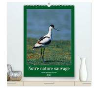 Notre nature sauvage, oiseaux aquatiques d'Europe (Calendrier mural haut de gamme 2027 DIN A2 horizontal), CALVENDO calendrier mensuel: Oiseaux que l'on peut découvrir en Europe