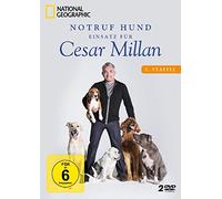 Notruf Hund - Einsatz für Cesar Millan - National Geographic/Staffel 2