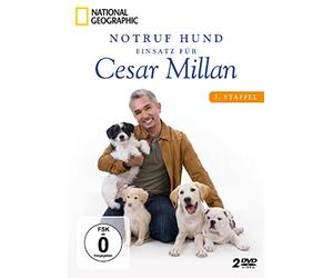 Notruf Hund - Einsatz für Cesar Millan - National Geographic/Staffel 3