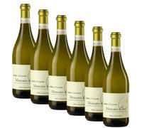 NOTTE D'ESTATE Moscato D'Asti Docg | Vino Bianco | Vino Dolce | 6 Bottiglie da 0,75ℓ