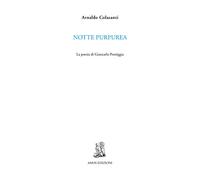 Notte purpurea. La poesia di Giancarlo Pontiggia