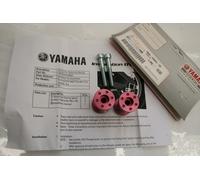 Nottolini cavalletto solleva moto Lifter stand spools Yamaha R6 R1 TDM 900