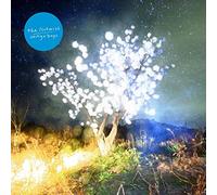 Notwist - Vertigo Days