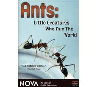 Nova: Ants, Little Creatures Who Run the World