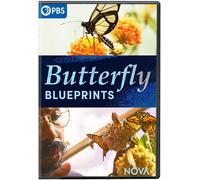 NOVA: Butterfly Blueprints (DVD)
