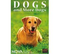 NOVA: Dogs and More Dogs (DVD)