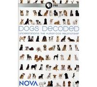 Nova: Dogs Decoded
