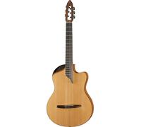 NOVA Guitars Innovator w/PU