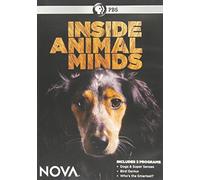 Nova: Inside Animal Minds