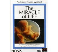 Nova - Nova: The Miracle Of Life [Edizione: Stati Uniti]