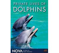 Nova: Private Lives Of Dolphins [Edizione: Stati Uniti]