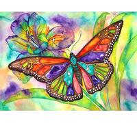 Nova puzzle - Puzzle Farfalla colorata - 1000 Pezzi