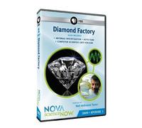 Nova: Science Now 2009 - Episode 1 - Diamond Facto [Edizione: Stati Uniti]
