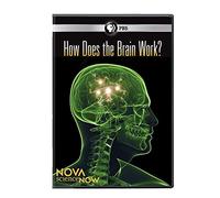 Nova Science Now: How Does The Brain Work [Edizione: Stati Uniti]