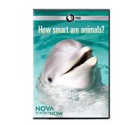 Nova Science Now: How Smart Are Animals?