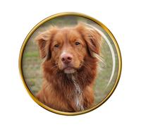 Nova Scozia Anatra Tolling Retriever Distintivo di Lapel Pin