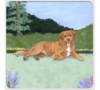 Nova Scozia Anatra Tolling Retriever Sottobicchieri - Set Di 4