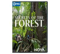 NOVA: Secrets of the Forest (DVD) Katherine Fenton Jamie Lochhead