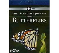 NOVA: The Incredible Journey of the Butterflies (Blu-ray)