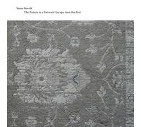 Novak Yann - The Future Is A Forward Escape Into The Past