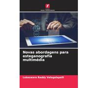 Novas abordagens para esteganografia multimédia