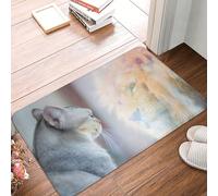 Novastar Zerbino per porta d'ingresso, per interni ed esterni, il gatto si guarda allo specchio, tappeto da cucina per pavimento, lavabile e sottile, adatto sotto la porta, tappeto da bagno per il