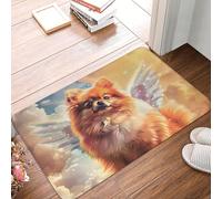 Novastar Zerbino per porta d'ingresso, per interni ed esterni, motivo: nuvola, tappeto da cucina con pomerania, lavabile, sottile, adatto sotto la porta, tappeto da bagno per bagno, 40,6 x 61 cm