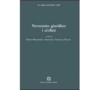Novecento giuridico. I civilisti